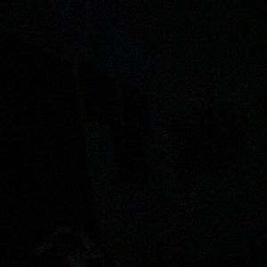 Meet your Posher, Maxx